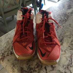 Lebron James Nike hightops